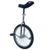 Unicycle