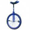 Unicycle