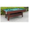 Billiard Table