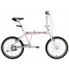 Folding Bike