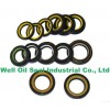 Power Steering Seals