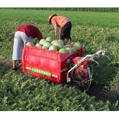 Walking Caterpillar Transporter / 2