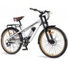 Electric Bikes