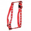 Dog Harness