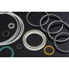 PTFE Seal