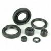 Oil Seals