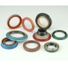 Oil Seals