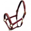 Leather horse halter