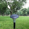 Solar Lawn Light