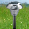 Solar Lawn Light