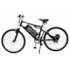 2006 LashOut Electric Bicycle