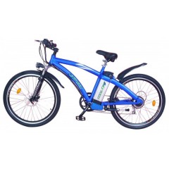 2006 LashOut Electric Bicycle / 2