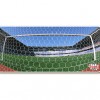 Soccer Goal Net