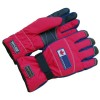 Skiing Gloves (55060)