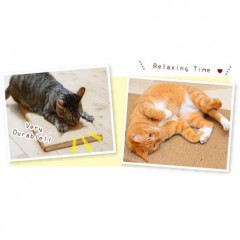 Cat Scratching Board (D01-60) / 2