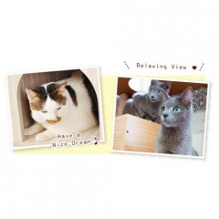 Cat Condo Tree (HC21b) / 2