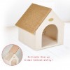 Cat Scratching House (HW02)