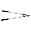 ENERGY SAVING GARDEN LOPPER(NE02)