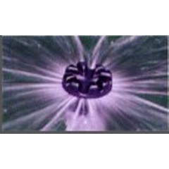 360 degree agriculture and garden spray nozzle / 2