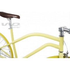 Fixed Gear Bike  (Explorer- YL) / 2