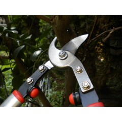 Professional Drop Forged Bypass Lopper  (7116) / 3