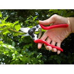 Solid Aluminum Forged Bypass Pruner (3103A-2) / 2