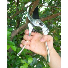 215mm Aluminum Forged Bypass Pruner (3169A-1) / 2