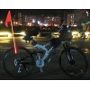 Lighting Bike/Bicycle Flag / Flag Light