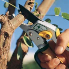 205mm Super Ratchet Pruning Shears (3140) / 2