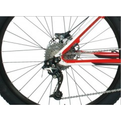 Mountain Bike-EXTRA / 2