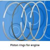Piston rings for TA TOONG WANG MACHINERY CO.,LTD.