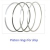 Ship Piston rings for TA TOONG WANG MACHINERY CO.,LTD.
