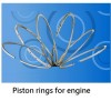 Engine Piston rings for TA TOONG WANG