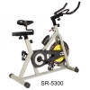 Exercise bikes-SR-5300