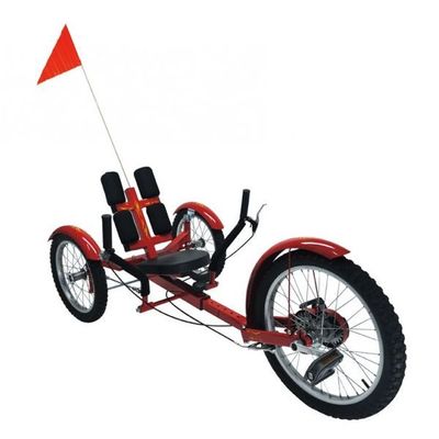 Recumbent Tricycle Bike JIU-601