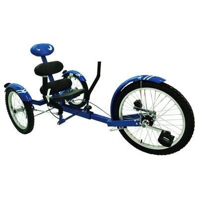 Recumbent Tricycle Bike JIU-502