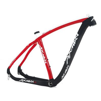 MTB Frame M10