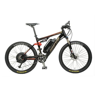 Electric bikes SD1303003