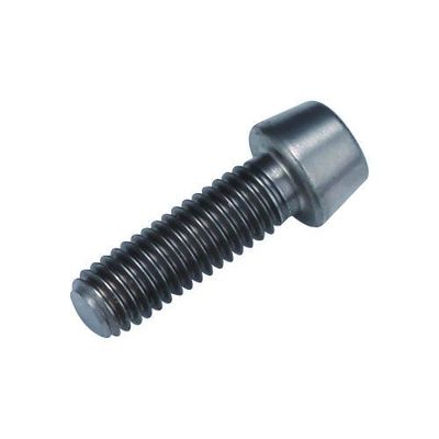 Titanium Bolt