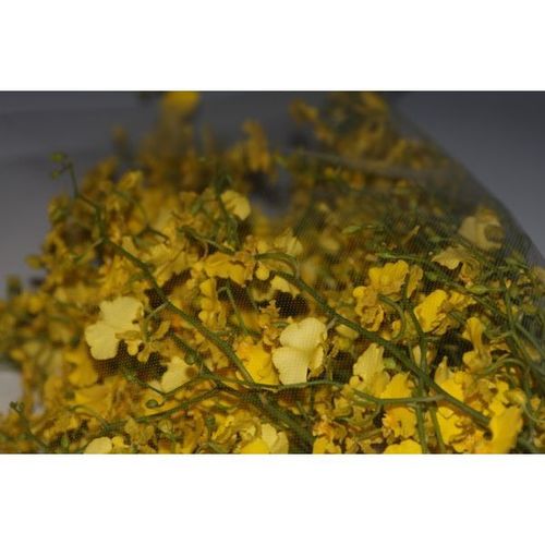 Micro Perforated Flower Sleeve / 2