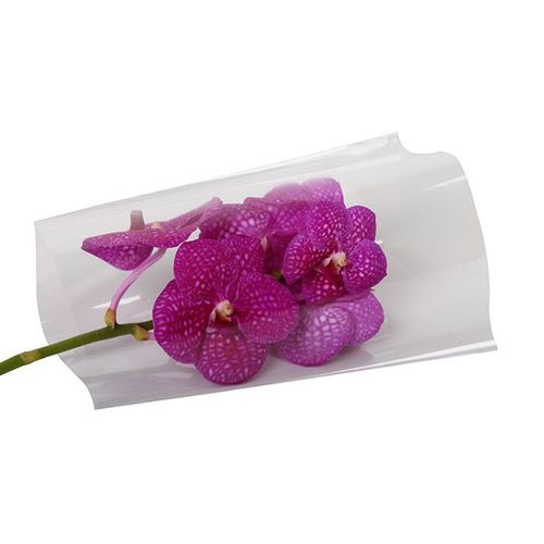 Non-perforated OPP Flower Sleeve / 2
