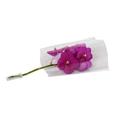 Non-perforated OPP Flower Sleeve