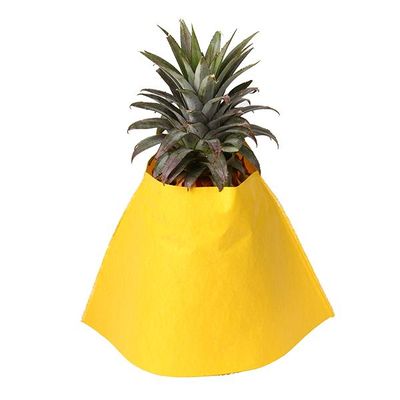 Pineapple Protection Sleeve