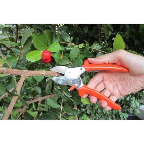 ANVIL PRUNING SHEAR (3181-1) / 3