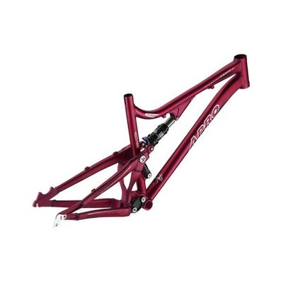 MTB Frames OIC 5.0