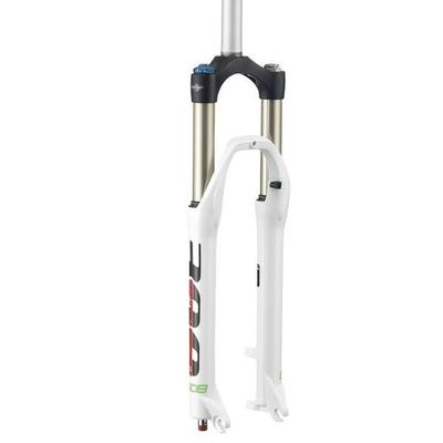 2014 300 29  AIR - Front Forks