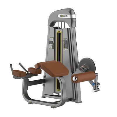 Home gym DHZ-E1001