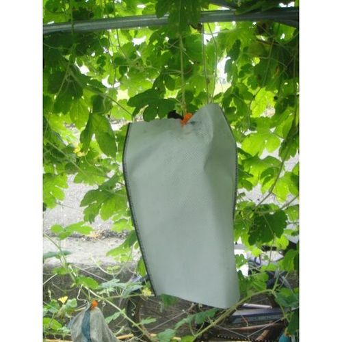 Bitter Melon Protection Sleeve / 2