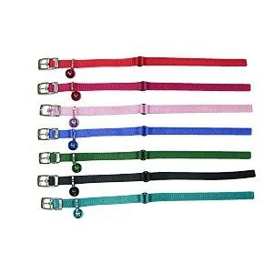 Pet Collar Leash