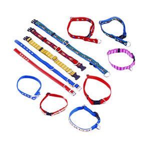 Pet Collar Leash